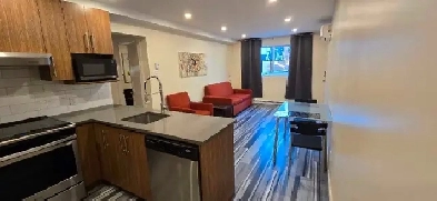 1 bedroom apartment Metro Pie IX 3 1/2 Image# 1