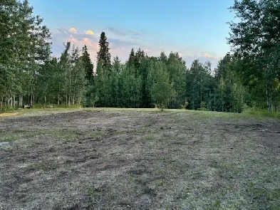 lake lot for sale  lake isle alberta   $83,000 Image# 9