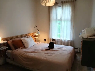 Charming, sunny, 1 BR on Fuller Terrace, North End Halifax Image# 7