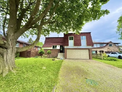 Entire house of 6bed 4bath or two unit 3bed 2bath each for rent Image# 1