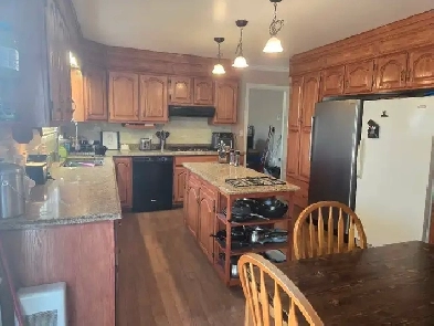 16 Glenn Drive Image# 5