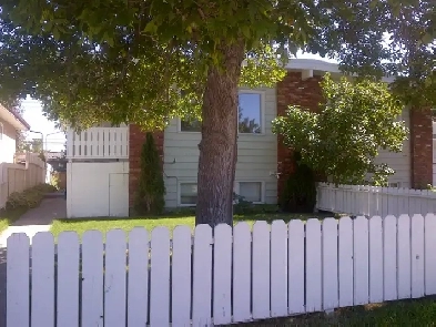 Newly Renovated 1 Bedroom Bsmt Suite 5 Min Walk to Anderson LRT Image# 8