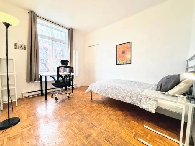 BEST Offer. GREAT Area. Clean, Safe! FREE Utilities. Comfy Room! Image# 2