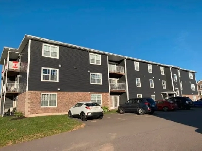 2Beds 1 bath Stratford  apartment for rent Image# 4