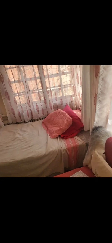 Studio apartment for rent sharet accommodation centretown Image# 1