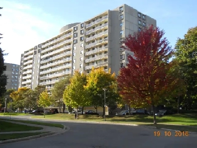 Apartment to Share - Fabulous Roommate Wanted! Image# 2