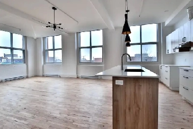 Loft 2 rooms 1600sqft  au mile end Image# 2