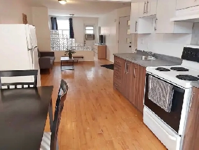 Metro Frontenac, Super 3½  à LOUER 1160$ Image# 1