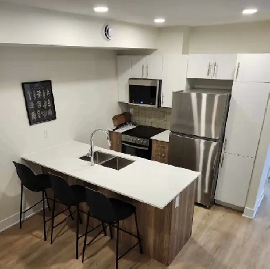 Bright furnished two-bedroom apartment (newly built) Image# 10
