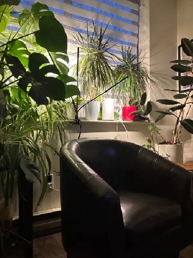 2 Bedroom Apartment (shared) Image# 1