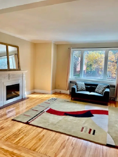 Outremont Adj - beau 6 1/2 haut 2plex aire ouverte Image# 11