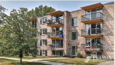Cozy 1 bed 1 bath apartment ( Sunnyside ) Image# 8