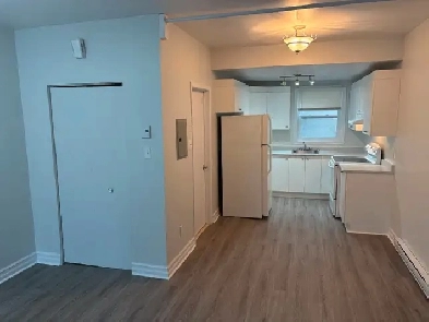 TRÈS BEAU STUDIO ENSOLEILLÉ, RDC, PARC, HOCHELAGA, OCC. FLEXIBLE Image# 1