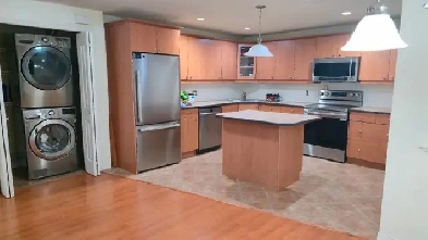 2 Bedroom 1 Bathroom Basement Suite for Rent Image# 2