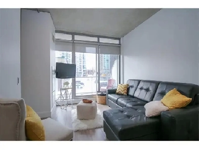 APPARTEMENT - MAGNIFICIENT CONDOIN THE BY-MARKET, OTTAWA Image# 1