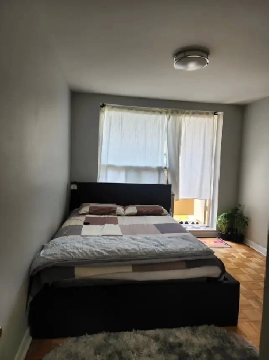 Room for Rent Image# 3