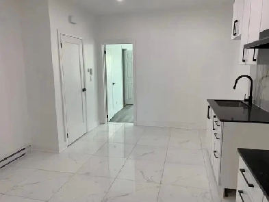4 1/2 appartement Rénové à louer Plateau-Mont-Royal Image# 1