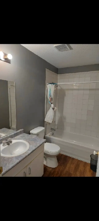 One bedroom suite for rent west-side Quesnel Image# 3