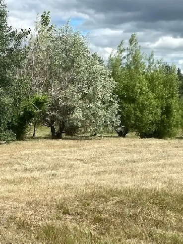 Acreage For Sale in Braun Village Image# 9