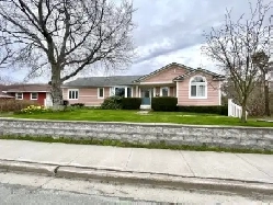 315C Waterford Bridge Road - Bright 1-Bedroom Apartment Image# 4