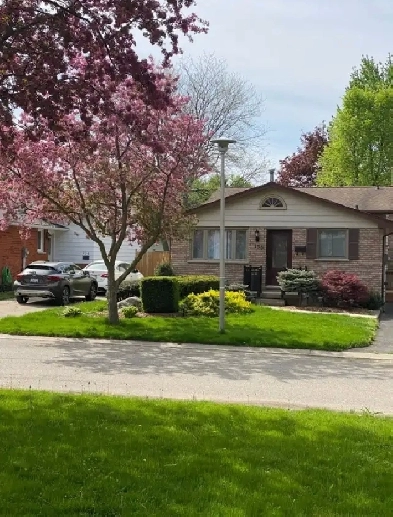 Good opportunity for moving into big house from apartment Image# 5