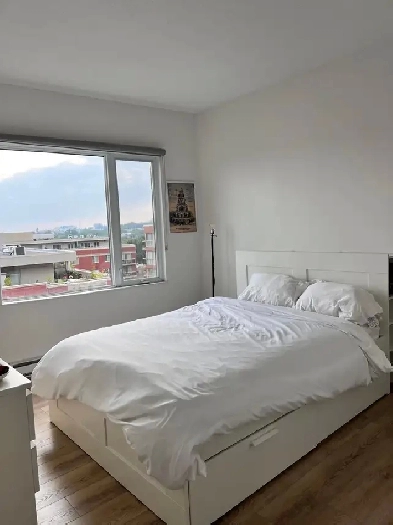 Looking for a Roommate in Griffintown! Image# 3