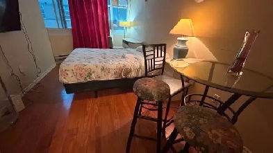 Furnished bachelor studio, Dundas/College Station, TMU, July 1 Image# 8