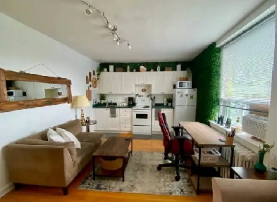 Bright Cozy Fully Furnished Apartment Sublet | July 1 - Aug 31 Image# 1