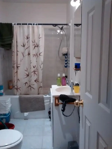 Logement à louer / 3970 Rue Rachel est Image# 8