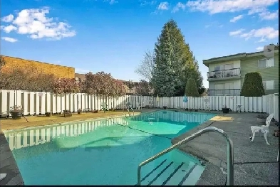 1 Bedroom Apartment For Rent On Scott Road Image# 4