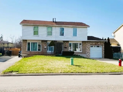 3BR 2WR Semi-Detached in Brampton near Williams Pkway/Bramalea R Image# 1