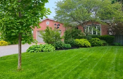 Spacious West Willow Woods Backsplit with Scenic Backyard Image# 2