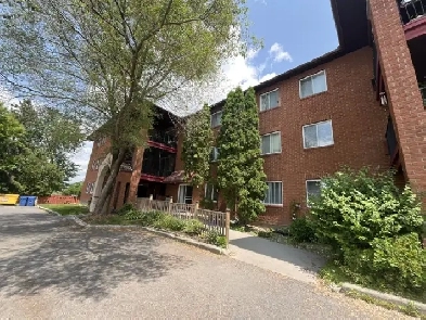 One Bedroom apartment Image# 1