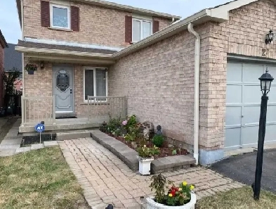 Basement for Lease Image# 1