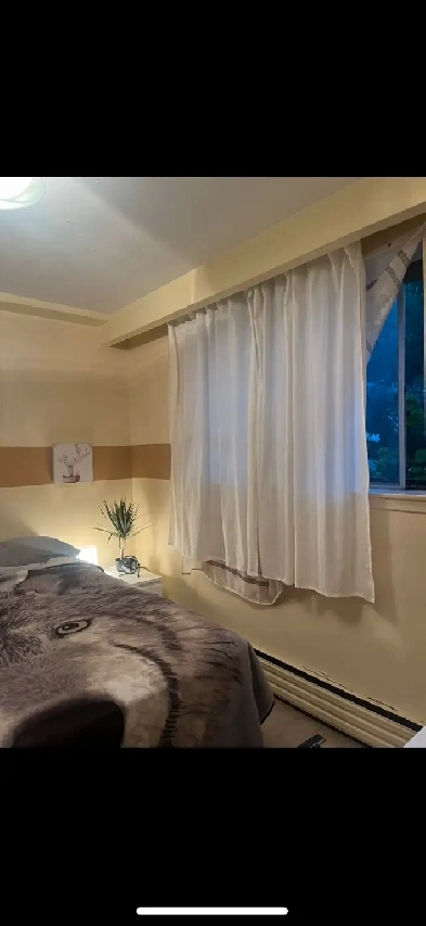 Room for Rent Yonge and Finch Image# 3