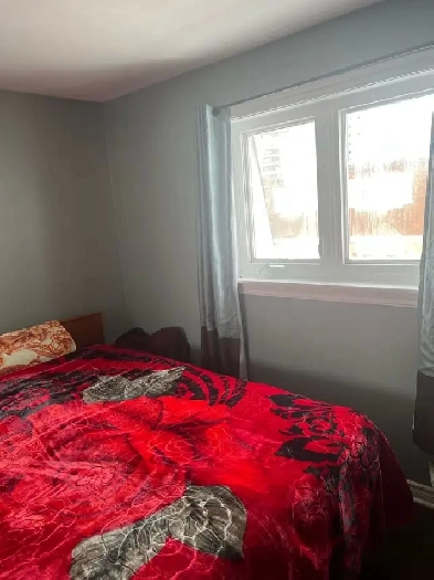 Room in sharing for girls Image# 1