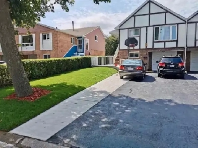 Brampton Room For Rent Image# 1