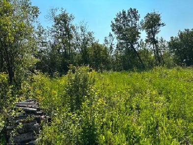LOT JUST OUTSIDE THE TOWN OF LAC DU BONNET!! Image# 2