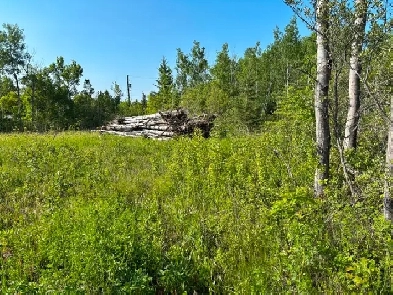 LOT JUST OUTSIDE THE TOWN OF LAC DU BONNET!! Image# 6