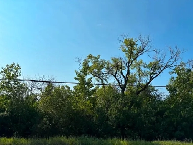 LOT 169FT FRONTAGE X 132 FT DEEP OUTSIDE OF THE TOWN OF LDB!! Image# 5
