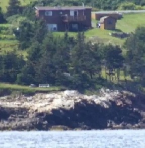 Ocean Frontage, beautiful views. Shared accommodations. Image# 2