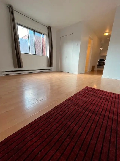 4 1/2 récemment rénové à louer - Coeur Plateau Mont-Royal Image# 1