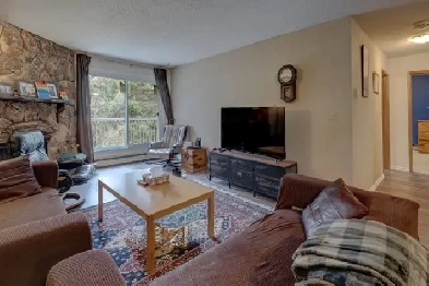UPDATED MASSIVE TOP FLOOR INNER CITY CONDO FOR SALE Image# 7