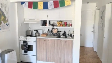 Studio à louer au parc Lafontaine - 1er septembre Image# 1