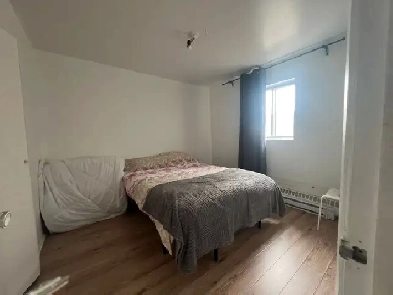 Studio à louer métro Laurier Image# 1