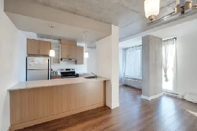 Magnifique logement 1 ch. Boul - Maisonneuve - Électro inclus Image# 4