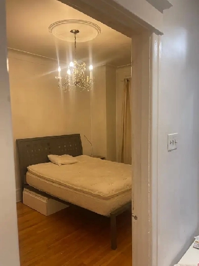 Cozy, bright and spacious 4BR ground floor appt , Snowdon metro Image# 1