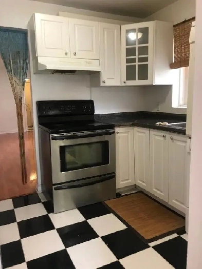 Appartement 3 1/2 à louer Montréal cartierville Image# 1