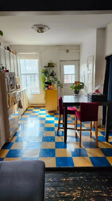 4 1/2 à louer sur le Plateau Image# 1