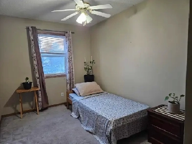 KABAYAN, room for rent: 2 min walk from Somerset train station Image# 3